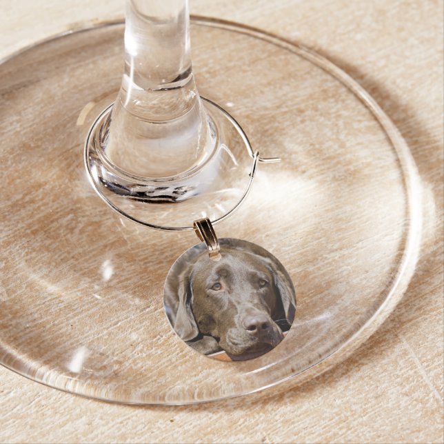 Sad Chocolate Lab Photograph Wine Glass Charm (In Situ)