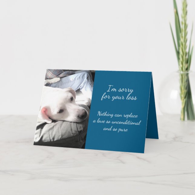 Sad Cute White Puppy Dog Sorry for Loss Sympathy Card (Front)