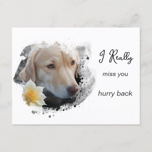  Sad Dog AP61 Flower Miss You Hurry Postcard