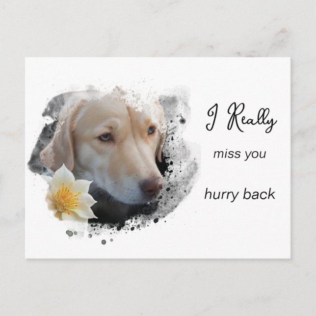 *~ Sad Dog AP61 Flower Miss You Hurry Postcard (Front)