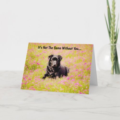 Sad Dog in Flower Field Miss You Card