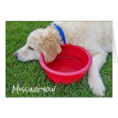 sad dog-missing you (Front Horizontal)