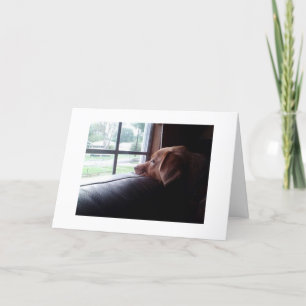 SAD DOG SAYS "MISS YOU ON YOUR BIRTHDAY" CARD