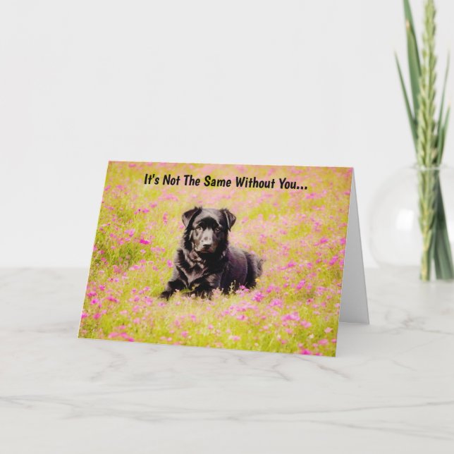 Sad Dog Sweet Miss Missing You Card (Front)