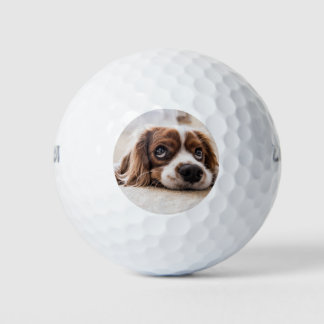 Sad-Eyed Cocker Spaniel Dog Golf Balls