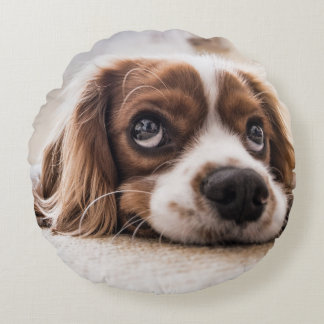 Sad-Eyed Cocker Spaniel Dog Round Pillow