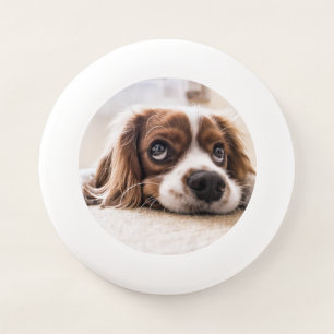 Sad-Eyed Cocker Spaniel Dog Wham-O Frisbee