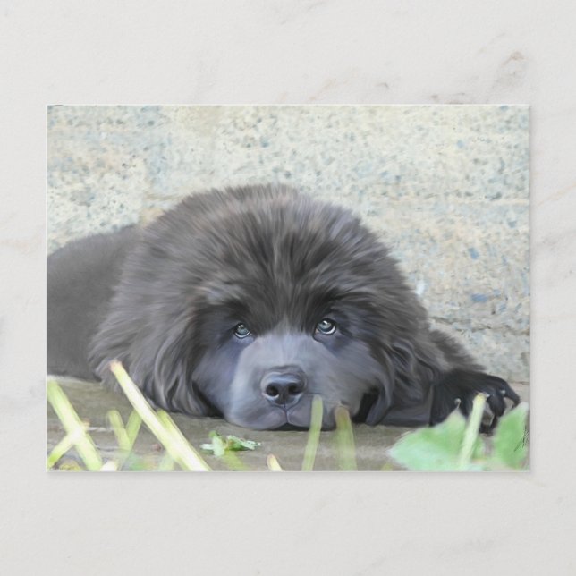 Sad Eyes Postcard (Front)