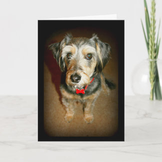 Sad-Faced Cute Dog Miss You Card