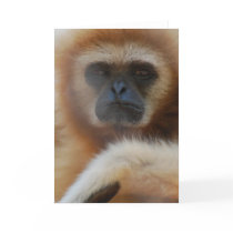 Sad Gibbon Greeting Card