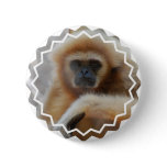 Sad Gibbon Pin