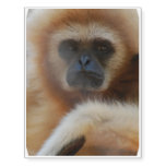 Sad Gibbon Temporary Tattoos