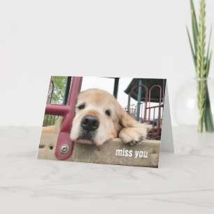 Sad Golden Retriever Dog Miss You Card