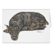 Sad Guilty Looking Doberman (Front Horizontal)