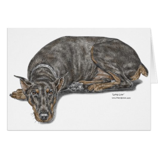 Sad Guilty Looking Doberman Cards (Front Horizontal)