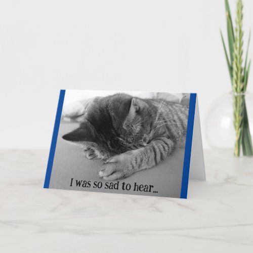 Sad Kitten Get Well Greeting Card