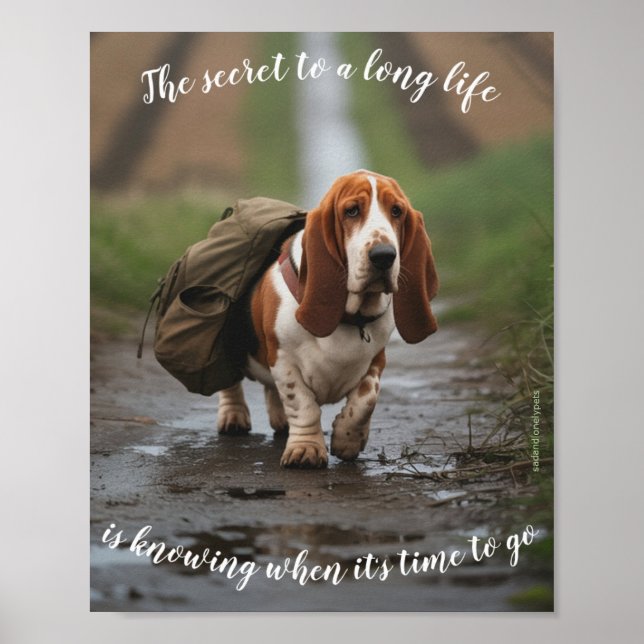 Sad & Lonely Pets Poster Print:  Basset Secret (Front)