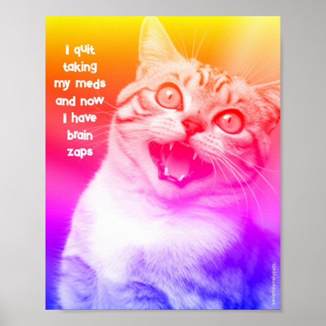 Sad & Lonely Pets Poster Print: Brain Zaps  (Front)
