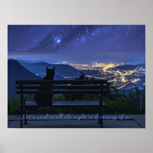 Sad & Lonely Pets Poster Print: Lonely Night Cat (Front)