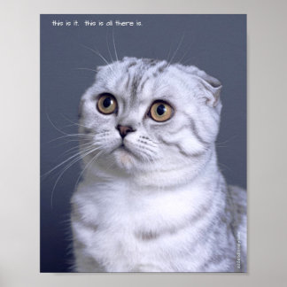 Sad & Lonely Pets Poster Print: This is it