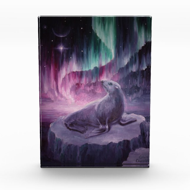 Sad lonely seal photo block (Front)