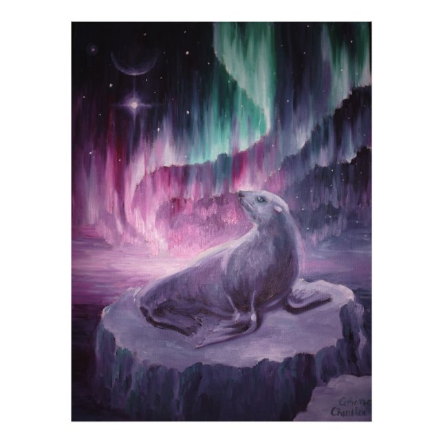 Sad lonely seal photo print (Front)