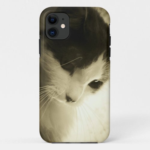 Sad Maine Coon Kitty iPhone 11 Case