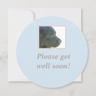 SAD NEWFIE/