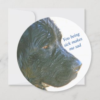 SAD NEWFIE/