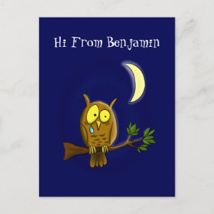 Sad owl with tear and moon missing you cartoon postcard