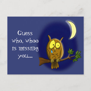 Sad owl with tear and moon missing you cartoon postcard