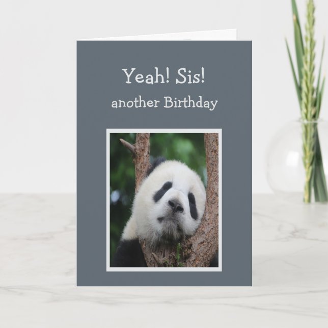 Sad Panda Bear Happy Birthday Sister Humor Card (Front)