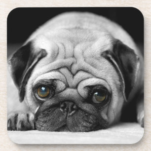 Sad Pug Beverage Coaster