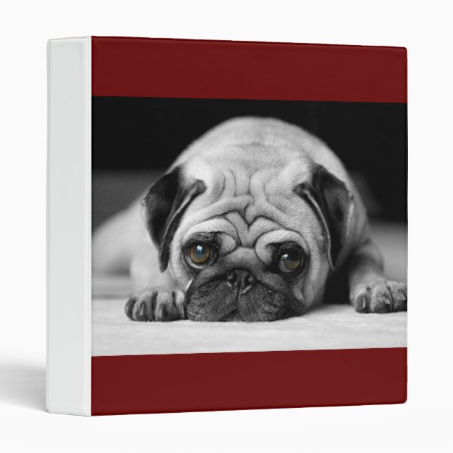 Sad Pug Binder (Front/Spine)