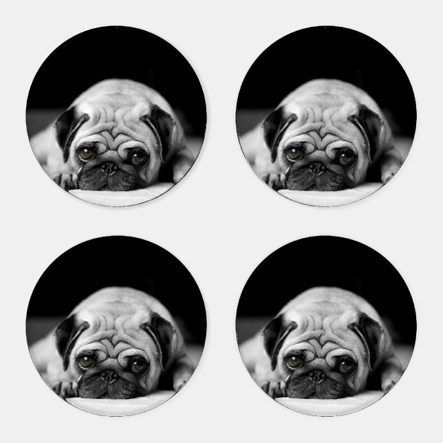Sad Pug Coaster Set (Set)
