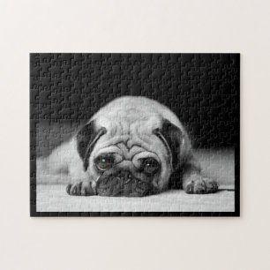 Sad Pug Jigsaw Puzzle