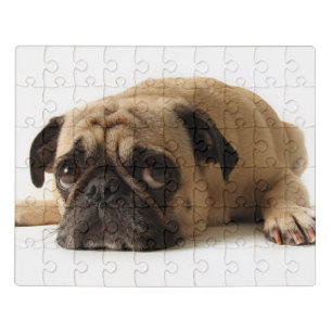 Sad Pug Jigsaw Puzzle