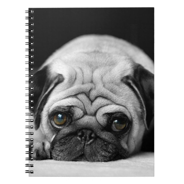 Sad Pug Notebook (Front)