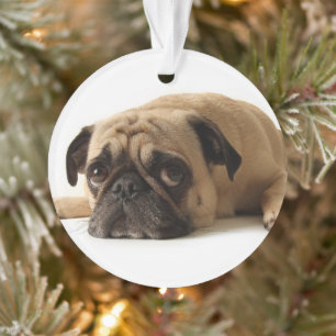 Sad Pug Ornament
