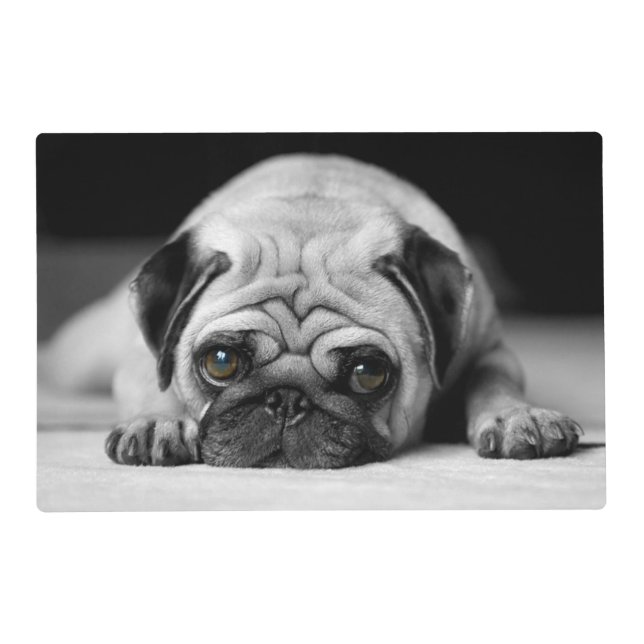 Sad Pug Placemat (Front)