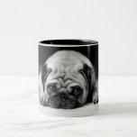 Sad Pug Two-tone Coffee Mug at Zazzle