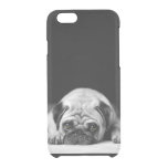 Sad Pug Clear Iphone 6/6s Case at Zazzle