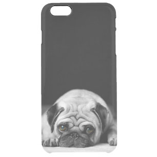 Sad Pug Clear iPhone 6 Plus Case