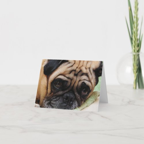 Sad Puggy Note Card