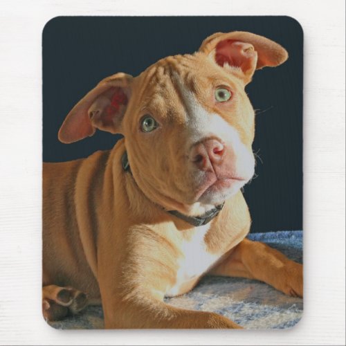 Sad Puppy Pit Bull Dog Doggy Mousepad