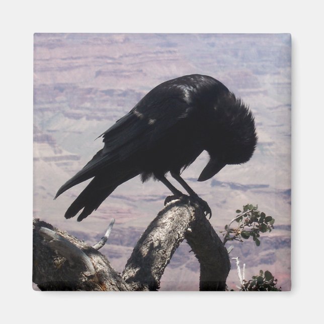 Sad Raven Magnet 01 (Front)
