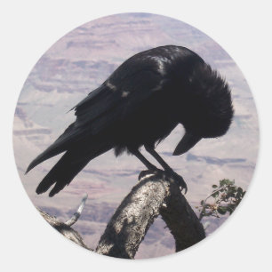 Sad Raven Stickers 01