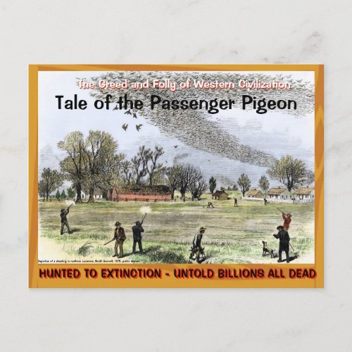 Sad Sad Tale of the Passenger Pigeon __ Postcard