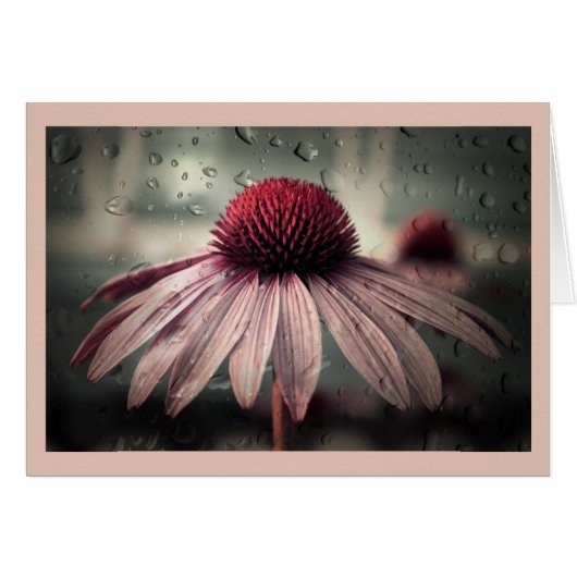 sad solitude cards (Front Horizontal)