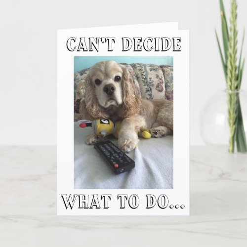SAD SPANIEL DONT KNOW WHAT TO DO WOUT YOU CARD